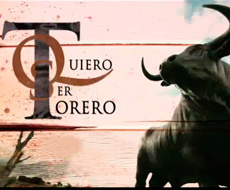 Logo ser torero