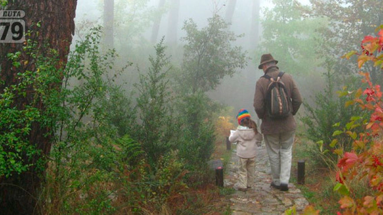 El Escorial Y San Lorenzo Finca El Campillo