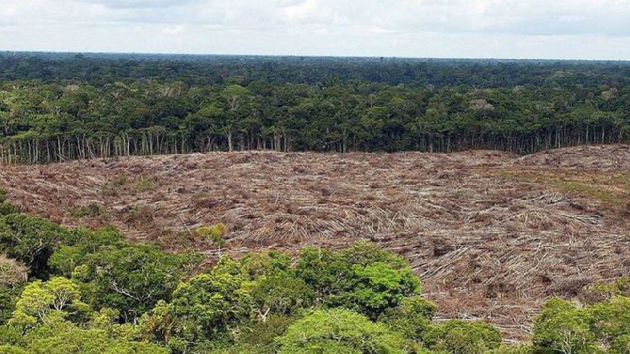 La Amazonia se está acercando peligrosamente a un punto de "no retorno"