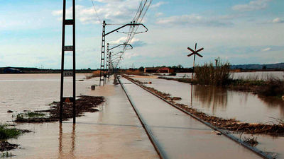 La riada del Ebro anega miles de hectáreas y ahoga decenas de animales