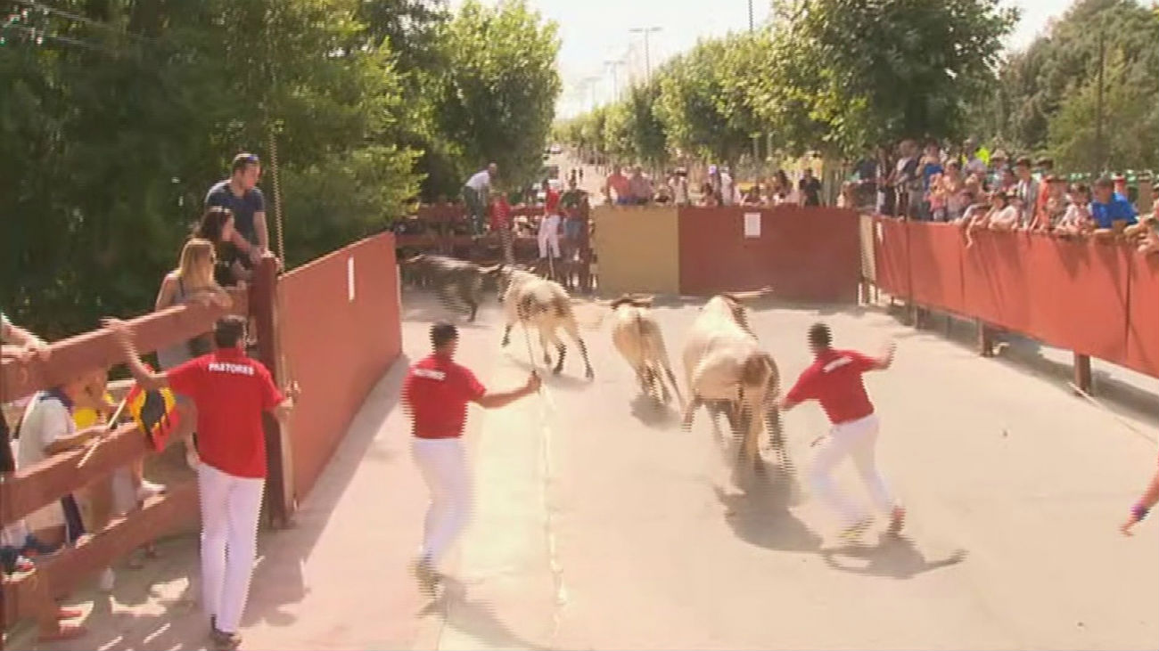 Tres heridos leves en los encierros de Alalpardo