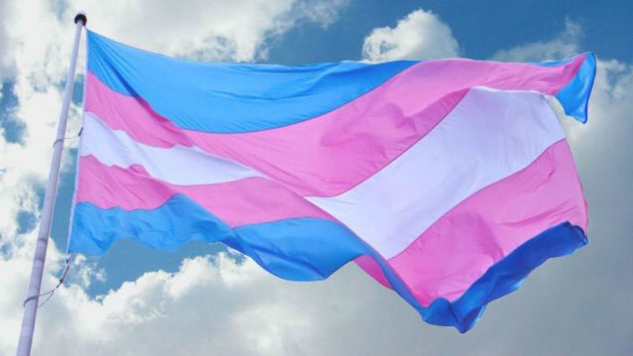 Bandera transexual