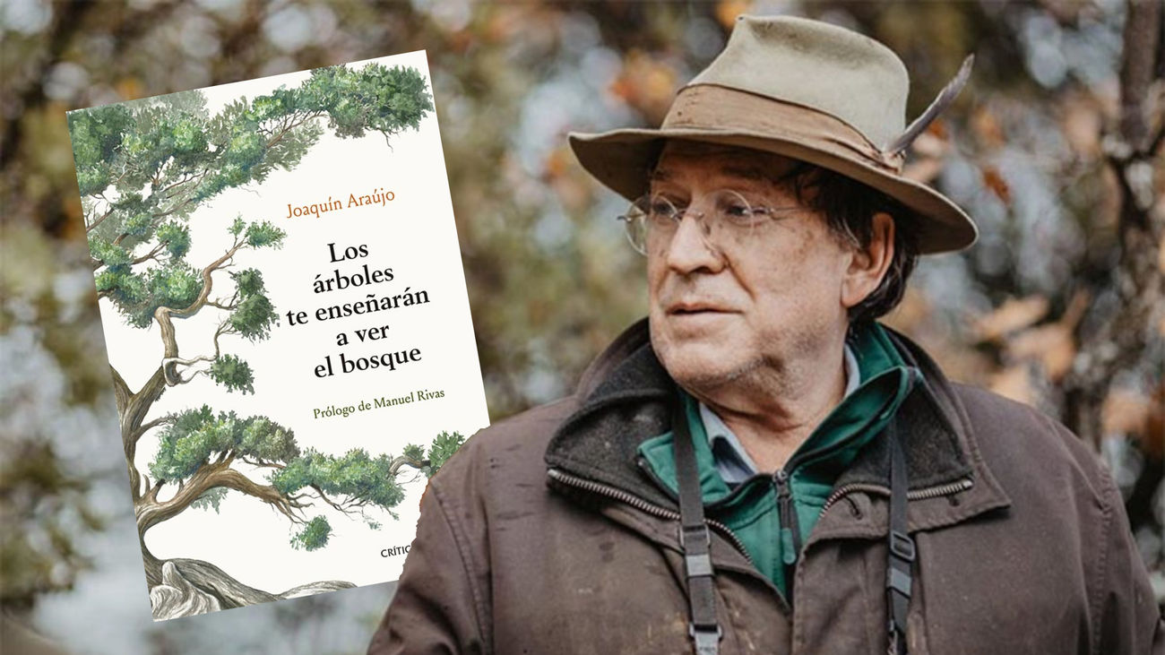Hablamos con Joaquín Araujo autor del libro 'Los árboles te enseñarán a ver  el bosque'