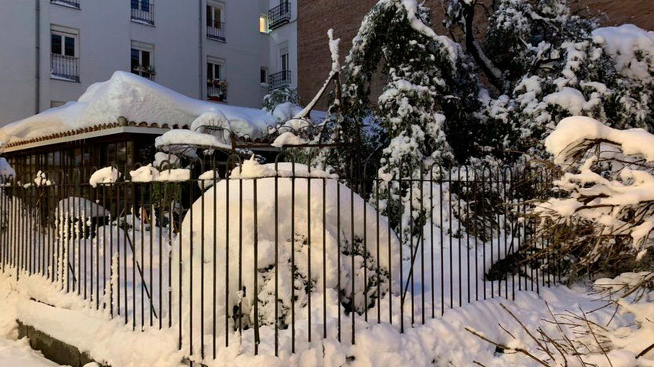 Filomena y unos ladrones devastan la floristería más antigua de Madrid