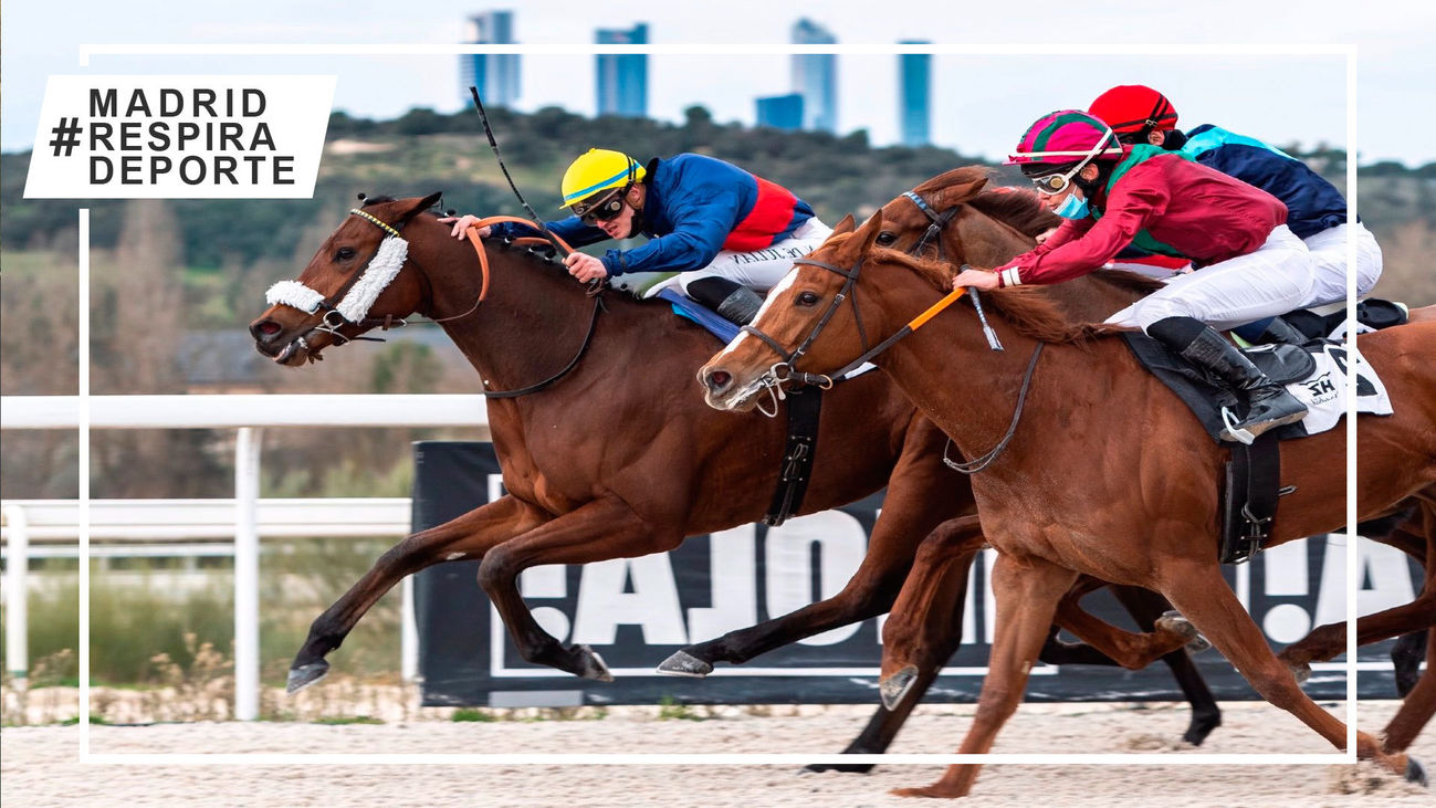 Carrera de caballos