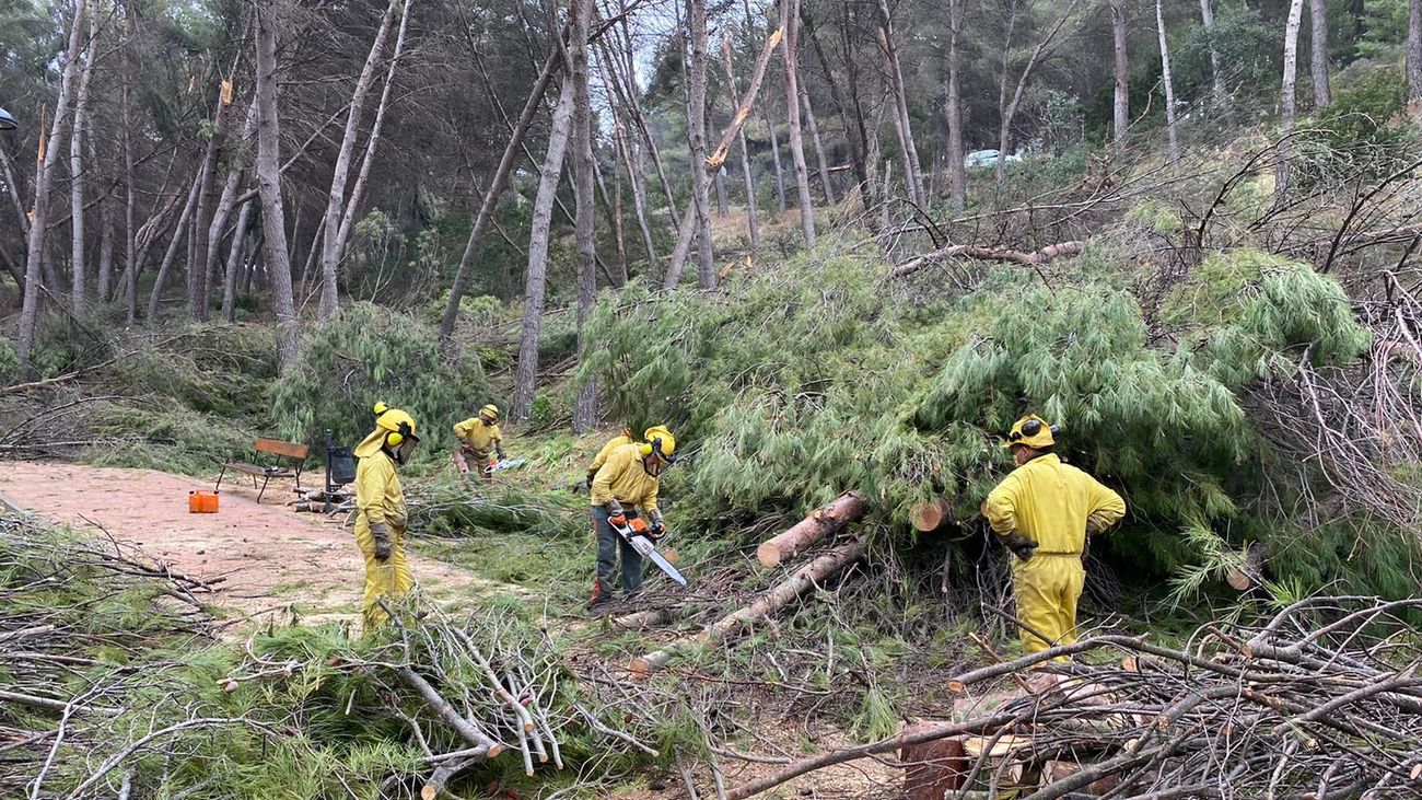 Operarios abren camino tras la caída de árboles