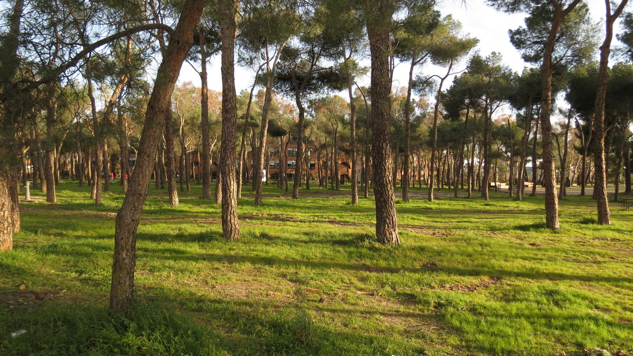 Parque de Los Frailes, en Leganés