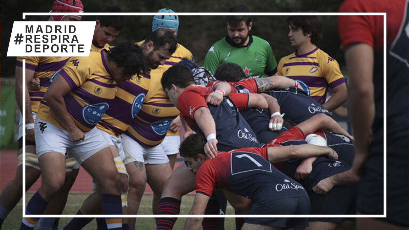 Pozuelo Rugby Union - Rugby Majadahonda