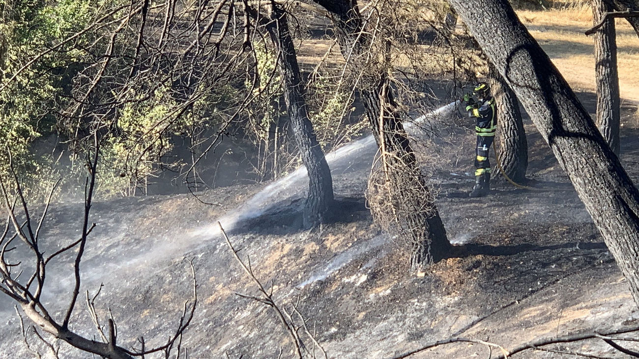 Incendio de pastos