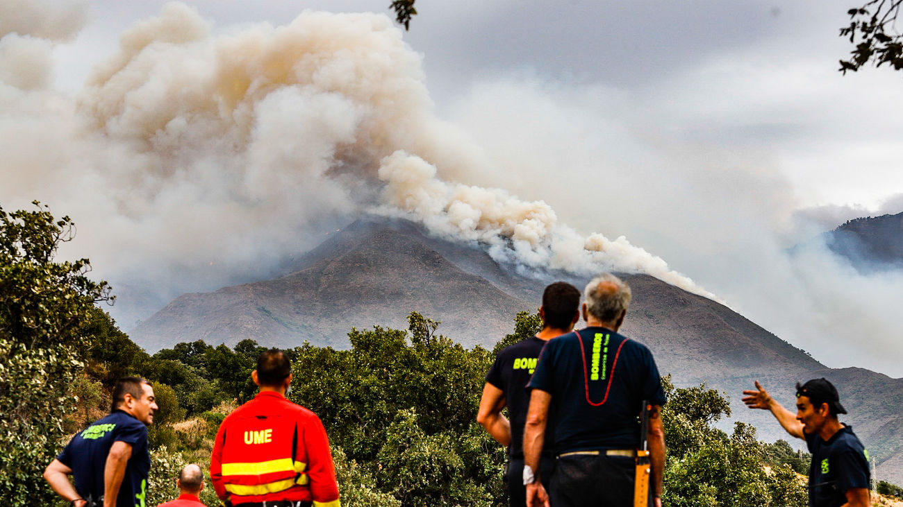 Bomberos y efectivos de UME observan el incendio de Sierra Bermeja