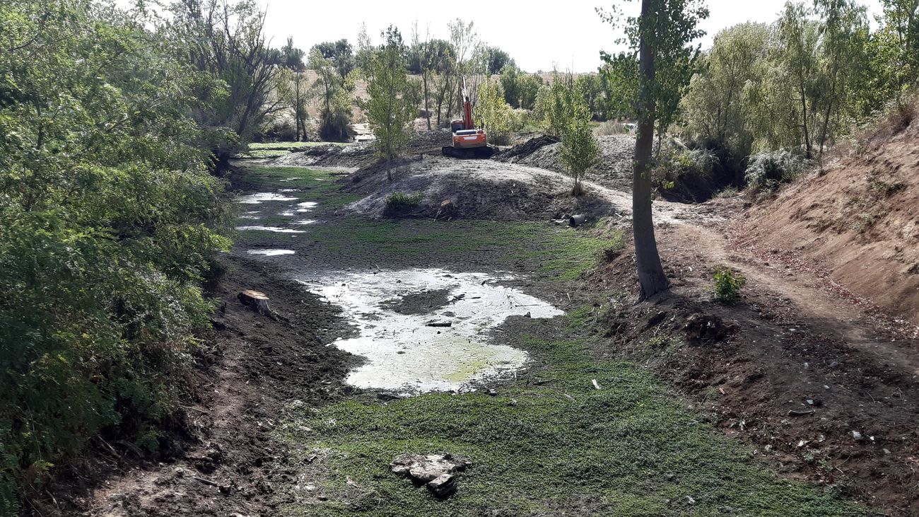 Una excavadora trata de eliminar la 'Ludwigia' que ya ha colonizado el lecho de la laguna