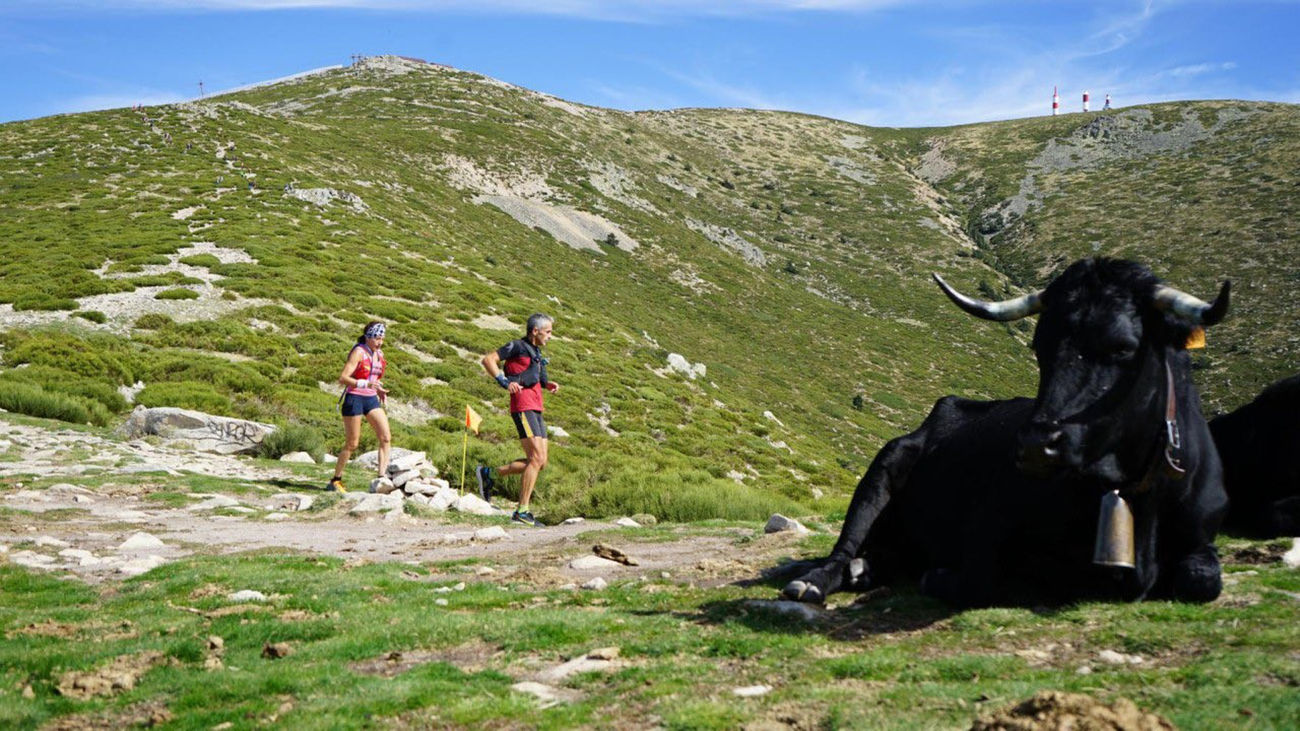 Campeonato Madrileño de Ultra Distancia