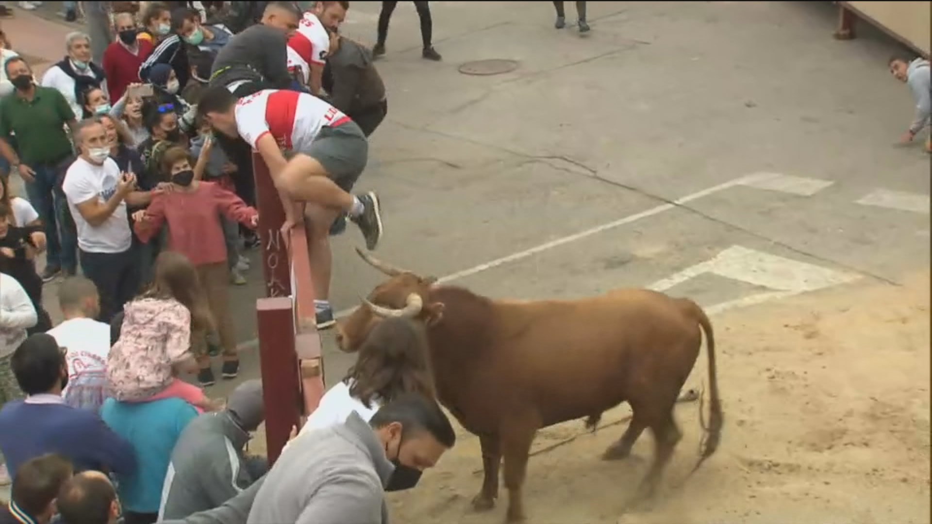 Primer encierro en Villanueva del Pardillo con cinco toros soltados de uno  en uno