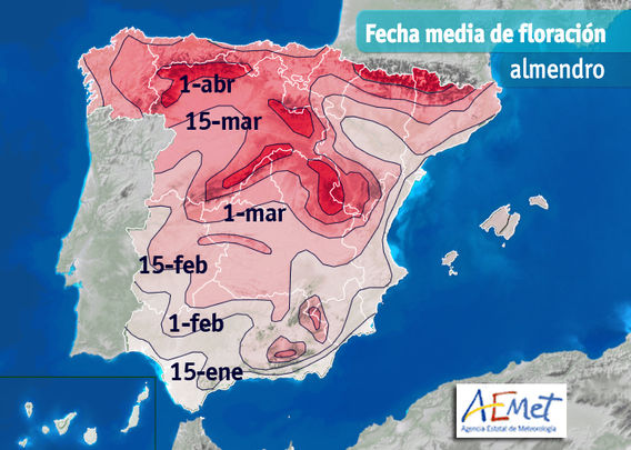 Los mejores lugares para ver almendros y cerezos en flor en España