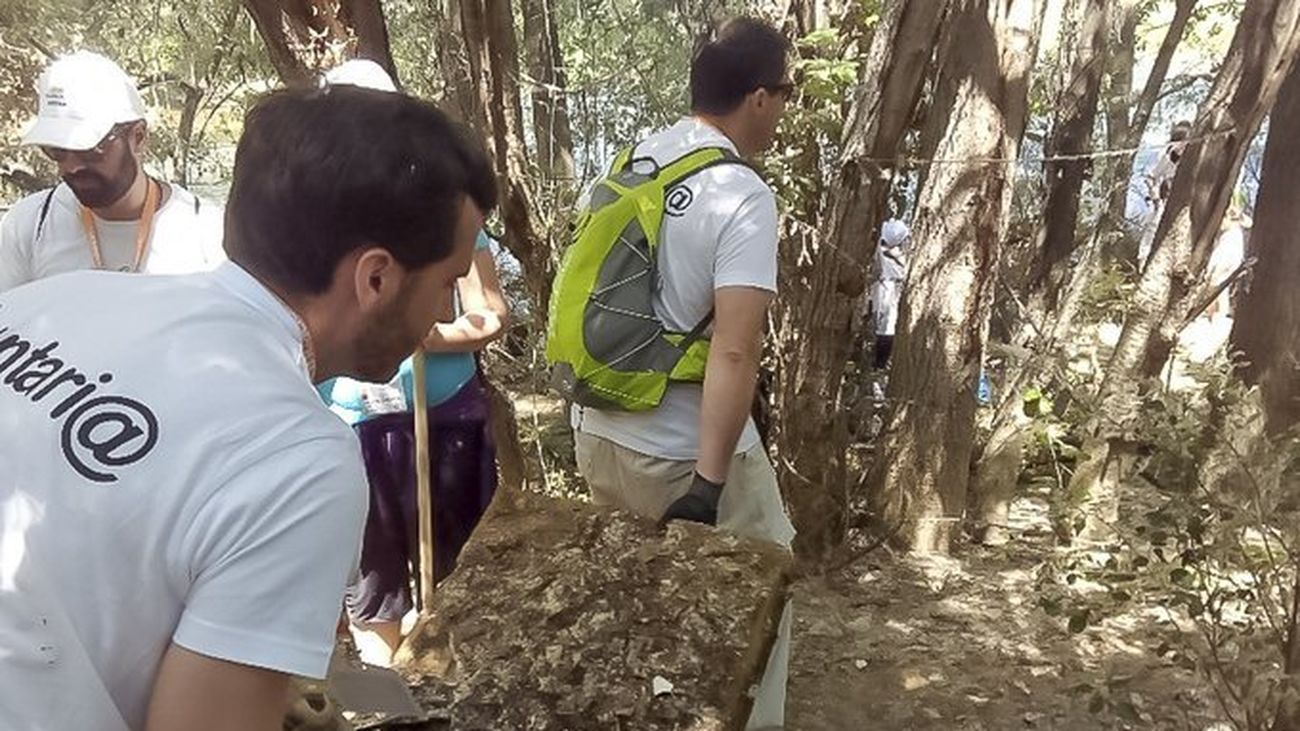 Voluntarios limpian el río Henares