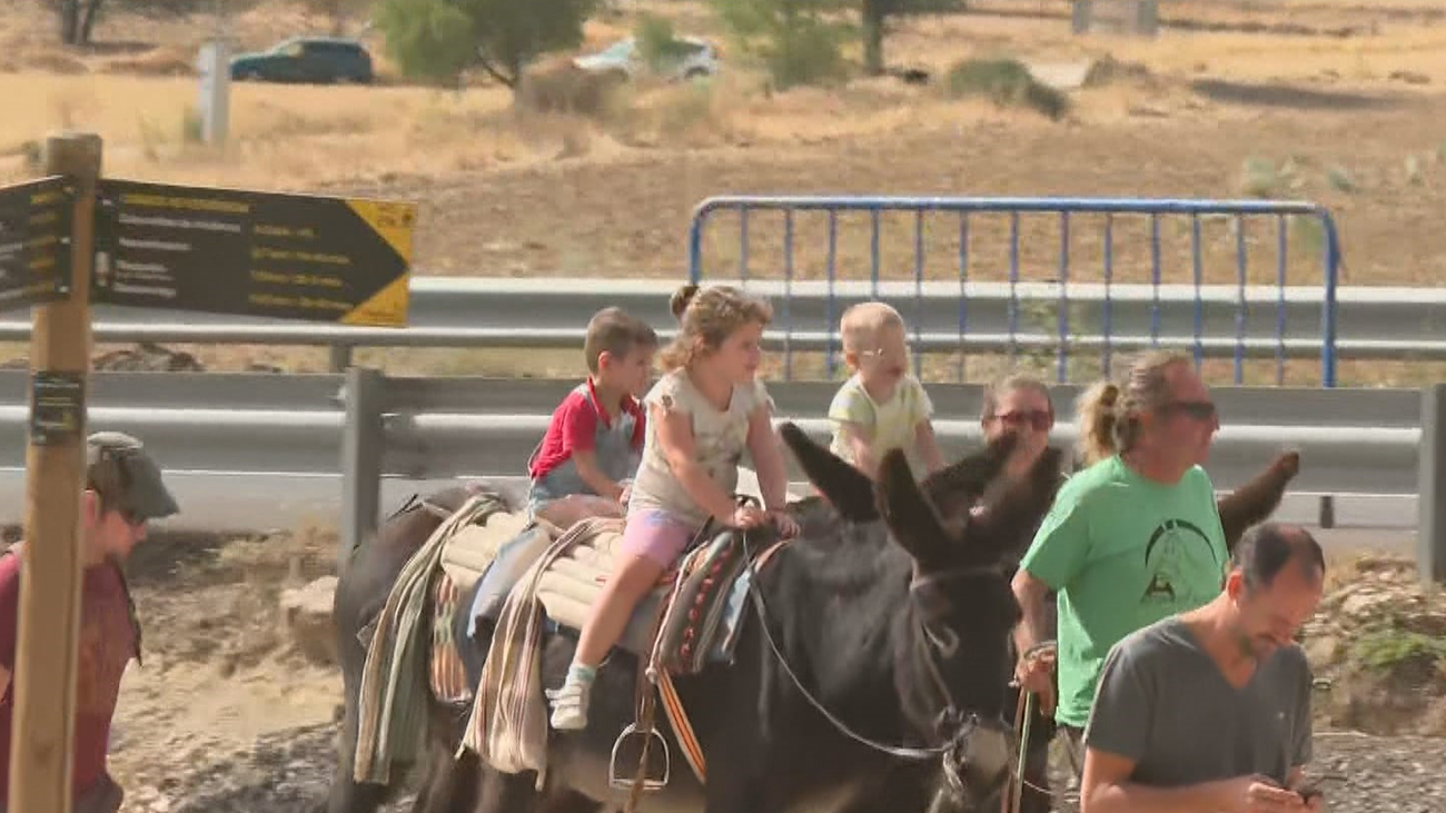 Paseos en burro por el recinto ferial de Venturada