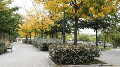 El otoño será este año en Madrid más cálido y seco de lo normal