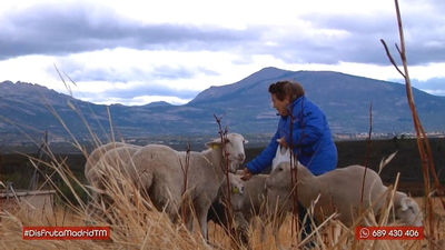 ¿Qué es ser una mujer rural?