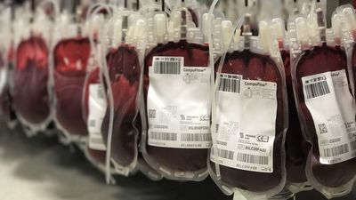 Maratón de donación de sangre en Pozuelo de Alarcón este martes