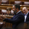 Abascal insiste en llamar en el Congreso filoetarras a los socios del Gobierno