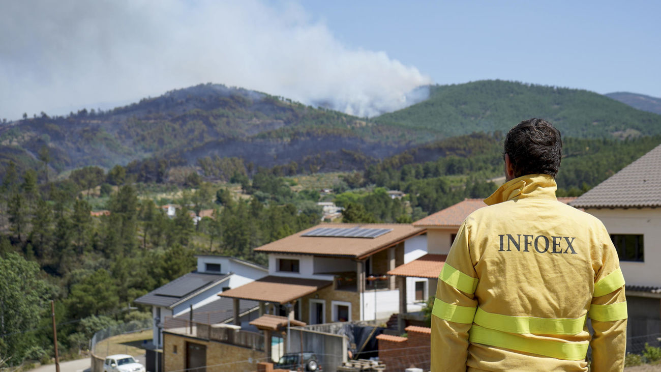 Un efectivo de Infoex observa el humo en el incendio de Pinofranqueado (Cáceres)