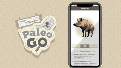 'Paleo-Go', una app para buscar fósiles por Madrid