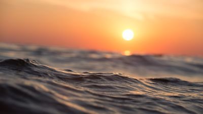 Los océanos registran en mayo la temperatura más alta desde que hay registros según Copernicus
