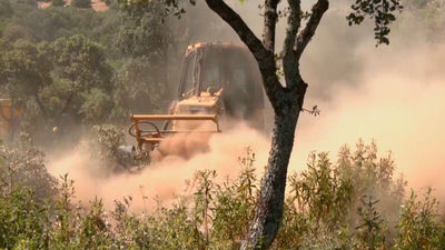 Así previenen los incendios las Brigadas Forestales en los montes de Madrid