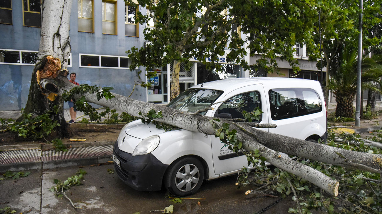 Daños causados por una fuerte tormenta veraniega en Huesca
