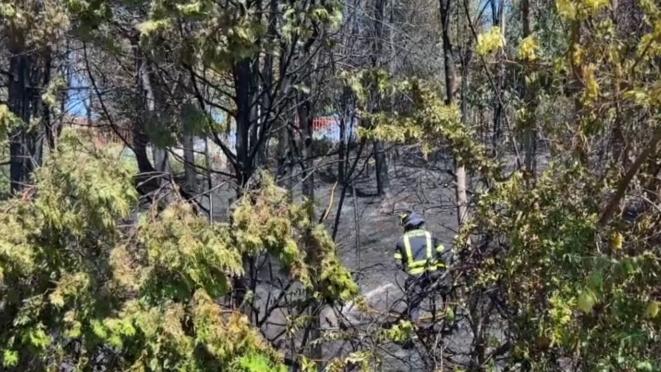 Incendio en una zona arbolada de la M-30