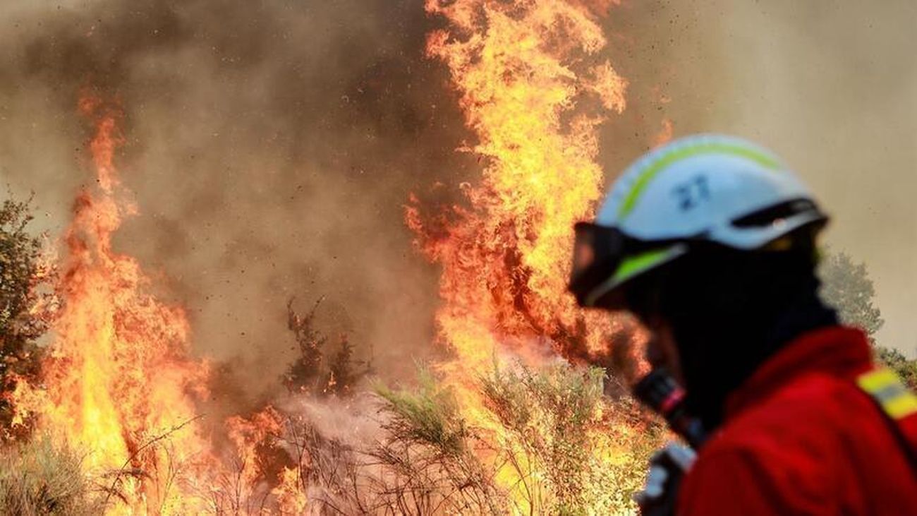 Más de 350 bomberos intentan extinguir un incendio declarado en el centro de Portugal