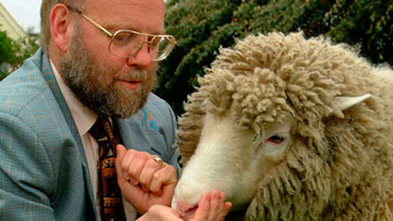 Muere a los 79 años Ian Wilmut, el "padre" de la oveja Dolly