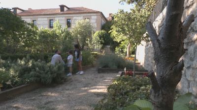 Descubre una 'gymkana' muy especial: es hortelana, educativa y perfecta para los pequeños de la casa