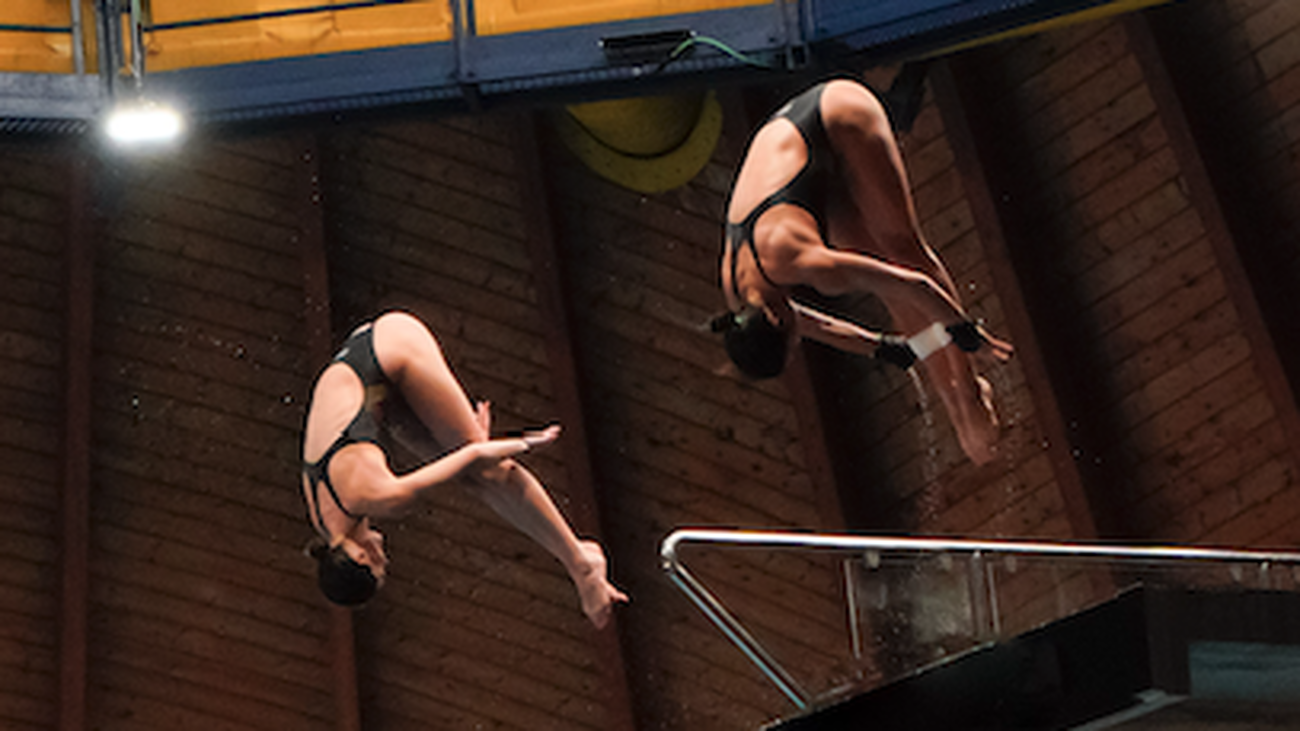 Madrid International Diving Meet