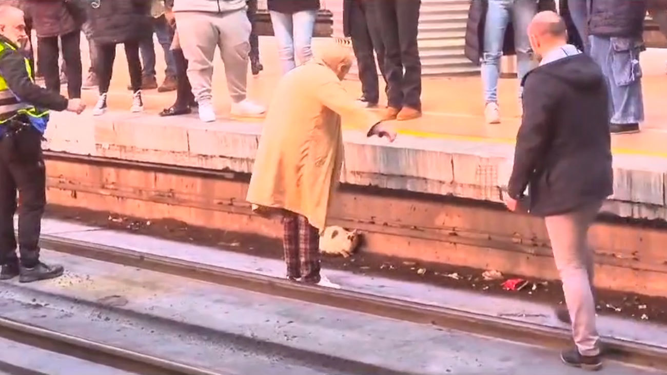 Rescate de un gato en la estación de Atocha