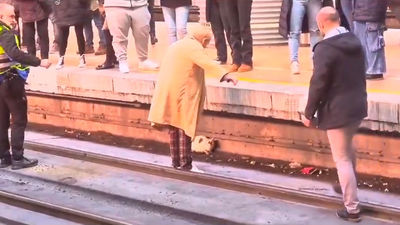 Nirvana, la gata de la estación de Laguna, vive una segunda oportunidad