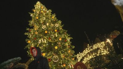 Visitamos en Estrasburgo el árbol decorado más alto de Europa y su mercado navideño