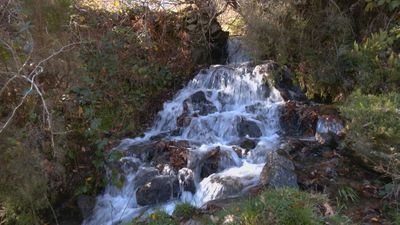 La Senda del Agua de la Acebeda: un plan para toda la familia en la Sierra Norte