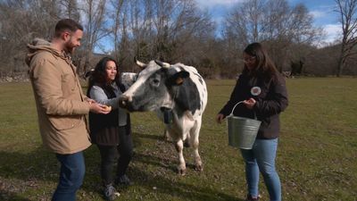 Ganaderas 4.0 en Alameda del Valle: una nueva forma de conocer la Dehesa