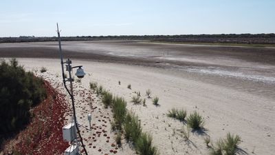 Balance de un año en Doñana, sin lagunas permanentes y con la biodiversidad en retroceso