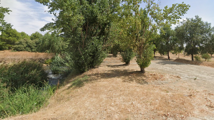 Plantas aromáticas en lugar de basura en el entorno del Arroyo Culebro de Pinto