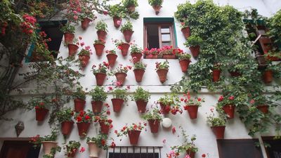 Los Patios de Córdoba reciben la visita de muchos madrileños