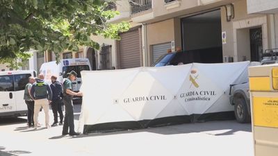 Crimen de Granada: el abuelo sumido en una depresión, con escopeta y enfrentado a su yerno