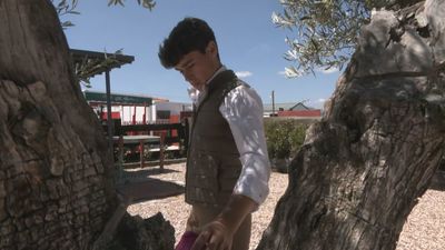 Jarocho, novillero de 19 años, sale por la puerta grande de Las Ventas