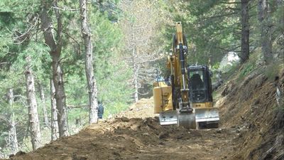 Suspenden la construcción de una pista forestal en el Parque Nacional del Guadarrama