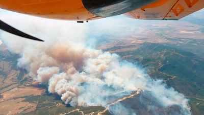 Un incendio forestal en Tarifa amenaza al Parque Natural de Los Alcornocales