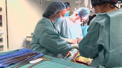 Las donaciones de órganos aumentan un 30% en la Comunidad de Madrid