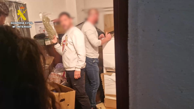 Operación antidroga en 'Európolis' de Las Rozas: Incautan  6 kg de marihuana y 65 kg de hachís del interior de un trastero