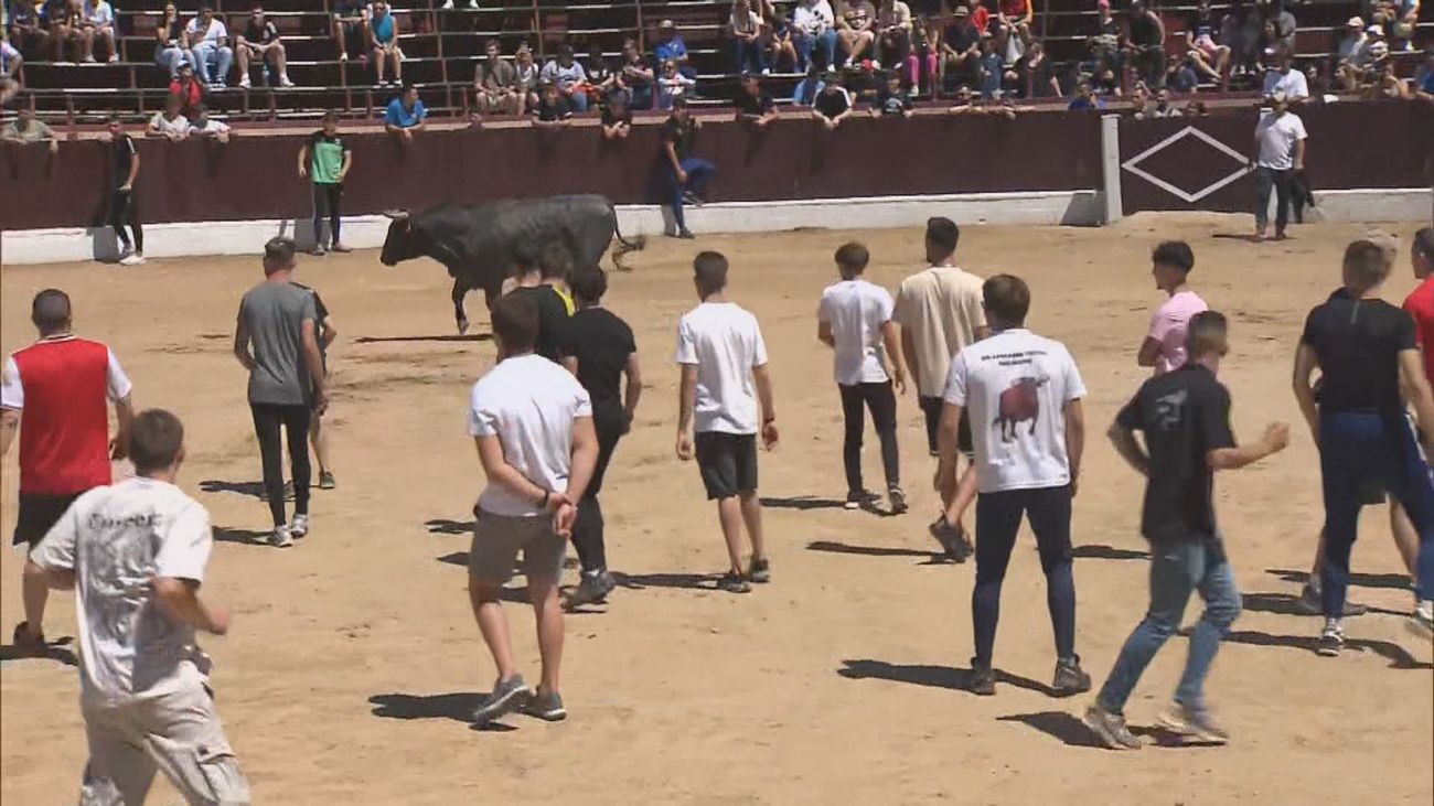 VÍDEO: Escalofriante cogida en los encierros de Yepes, Toledo