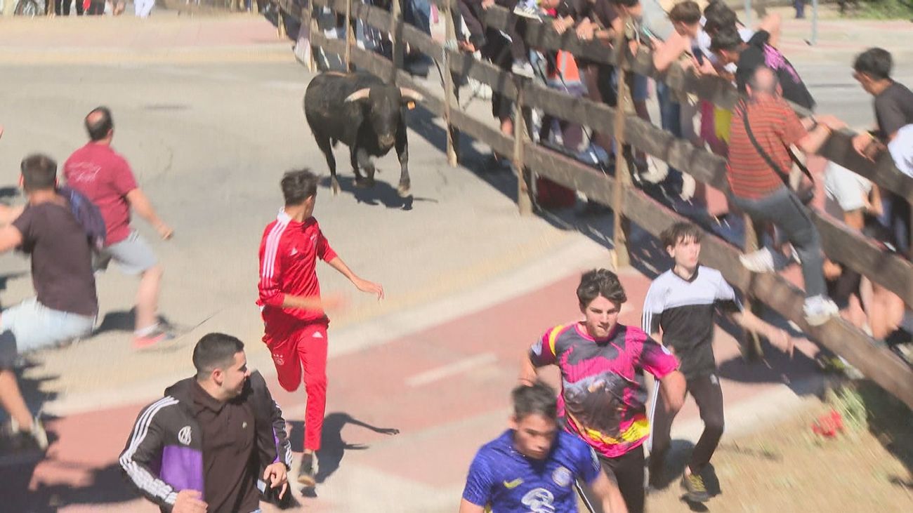 VÍDEO: Escalofriante cogida en los encierros de Yepes, Toledo